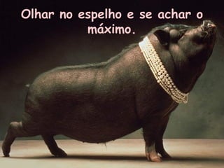 Olhar no espelho e se achar o
máximo.

 