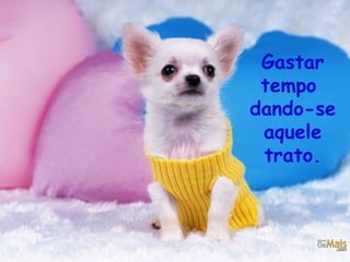 Gastar
tempo
dando-se
aquele
trato.

 