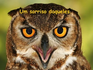 Um sorriso daqueles.

 