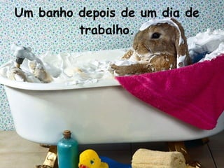 Um banho depois de um dia de trabalho. 