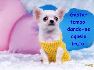 Gastar tempo  dando-se aquele trato. 