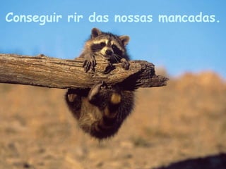 Conseguir rir das nossas mancadas. 