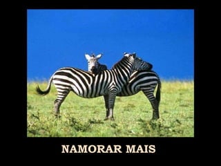 NAMORAR MAIS 