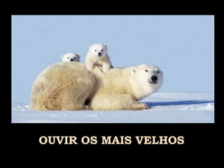 OUVIR OS MAIS VELHOS 