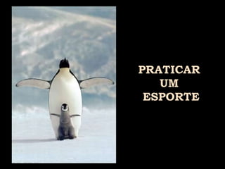PRATICAR  UM  ESPORTE 