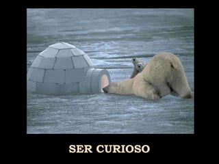SER CURIOSO 