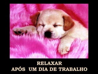 RELAXAR  APÓS  UM DIA DE TRABALHO 