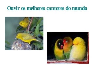 Ouvir os melhores cantores do mundo 