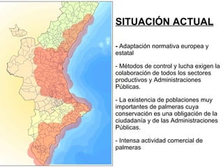 SITUACIÓN ACTUAL -   Adaptación normativa europea y estatal - Métodos de control y lucha exigen la colaboración de todos los sectores productivos y Administraciones Públicas. - La existencia de poblaciones muy importantes de palmeras cuya conservación es una obligación de la ciudadanía y de las Administraciones Públicas.  - Intensa actividad comercial de palmeras  