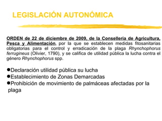 ORDEN de 22 de diciembre de 2009, de la Conselleria de Agricultura, Pesca y Alimentación ,  por la que se establecen medidas fitosanitarias obligatorias para el control y erradicación de la plaga  Rhynchophorus ferrugineus  (Olivier, 1790), y se califica de utilidad pública la lucha contra el género  Rhynchophorus  spp.  Declaración utilidad pública su lucha Establecimiento de Zonas Demarcadas  Prohibición de movimiento de palmáceas afectadas por la  plaga LEGISLACIÓN AUTONÓMICA 
