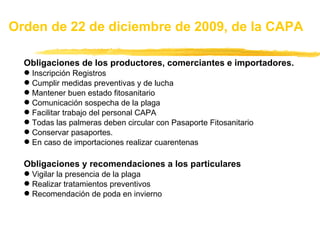 Obligaciones de los productores, comerciantes e importadores. Inscripción Registros Cumplir medidas preventivas y de lucha Mantener buen estado fitosanitario Comunicación sospecha de la plaga Facilitar trabajo del personal CAPA Todas las palmeras deben circular con Pasaporte Fitosanitario Conservar pasaportes. En caso de importaciones realizar cuarentenas Obligaciones y recomendaciones a los particulares Vigilar la presencia de la plaga Realizar tratamientos preventivos Recomendación de poda en invierno Orden de 22 de diciembre de 2009, de la CAPA 