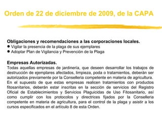 Obligaciones y recomendaciones a las corporaciones locales. Vigilar la presencia de la plaga de sus ejemplares Adoptar Plan de Vigilancia y Prevención de la Plaga Empresas Autorizadas. Todas aquellas empresas de jardinería, que deseen desarrollar los trabajos de destrucción de ejemplares afectados, limpieza, poda o tratamientos, deberán ser autorizados previamente por la Conselleria competente en materia de agricultura. En el supuesto de que estas empresas realicen tratamientos con productos fitosanitarios, deberán estar inscritas en la sección de servicios del Registro Oficial de Establecimientos y Servicios Plaguicidas de Uso Fitosanitario, así como cumplir con los protocolos y directrices fijados por la Conselleria competente en materia de agricultura, para el control de la plaga y asistir a los cursos especificados en el artículo 8 de esta Orden. Orden de 22 de diciembre de 2009, de la CAPA 