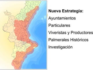 Nueva Estrategia: Ayuntamientos Particulares Viveristas y Productores Palmerales Históricos Investigación 
