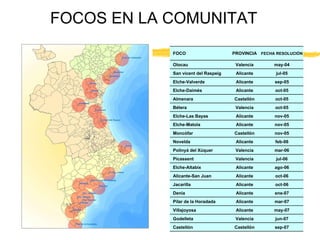 FOCOS EN LA COMUNITAT sep-07 Castellón Castellón jun-07 Valencia Godelleta may-07 Alicante Villajoyosa mar-07 Alicante Pilar de la Horadada ene-07 Alicante Denia oct-06 Alicante Jacarilla oct-06 Alicante Alicante-San Juan ago-06 Alicante Elche-Altabix jul-06 Valencia Picassent mar-06 Valencia Polinyà del Xúquer feb-06 Alicante Novelda nov-05 Castellón Moncófar nov-05 Alicante Elche-Matola nov-05 Alicante Elche-Las Bayas oct-05 Valencia Bétera oct-05 Castellón Almenara oct-05 Alicante Elche-Daimés sep-05 Alicante Elche-Valverde jul-05 Alicante San vicent del Raspeig may-04 Valencia Olocau FECHA   RESOLUCIÓN PROVINCIA FOCO 