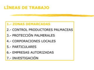 LÍNEAS DE TRABAJO 1.- ZONAS DEMARCADAS 2.- CONTROL PRODUCTORES PALMACEAS 3.- PROTECCIÓN PALMERALES 4.- CORPORACIONES LOCALES 5.- PARTICULARES 6.- EMPRESAS AUTORIZADAS 7.- INVESTIGACIÓN 