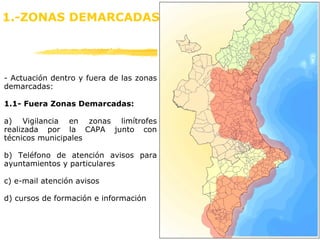 -  Actuación dentro y fuera de las zonas demarcadas: 1.1- Fuera Zonas Demarcadas: a) Vigilancia en zonas limítrofes realizada por la CAPA junto con técnicos municipales b) Teléfono de atención avisos para ayuntamientos y particulares c) e-mail atención avisos d) cursos de formación e información 1.-ZONAS DEMARCADAS 