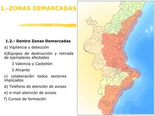 1.2.- Dentro Zonas Demarcadas a) Vigilancia y detección b)Equipos de destrucción y retirada de ejemplares afectados 3 Valencia y Castellón 3 Alicante c) colaboración todos sectores  implicados d) Teléfono de atención de avisos e) e-mail atención de avisos f) Cursos de formación 1.-ZONAS DEMARCADAS 