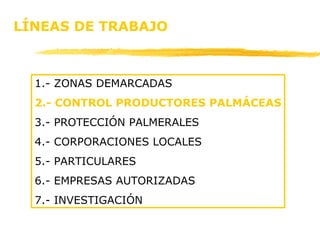 LÍNEAS DE TRABAJO 1.- ZONAS DEMARCADAS 2.- CONTROL PRODUCTORES PALMÁCEAS 3.- PROTECCIÓN PALMERALES 4.- CORPORACIONES LOCALES 5.- PARTICULARES 6.- EMPRESAS AUTORIZADAS 7.- INVESTIGACIÓN 