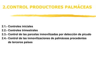 2.CONTROL PRODUCTORES PALMÁCEAS 2.1 .- Controles iniciales 2.2.- Controles trimestrales 2.3.- Control de las parcelas inmovilizadas por detección de picudo 2.4.- Control de las inmovilizaciones de palmáceas procedentes  de terceros países  