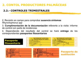 2. CONTOL PRODUCTORES PALMÁCEAS 2.2.- CONTROLES TRIMESTRALES Pasaporte fitosanitario Pasaporte de sustitución 2.   Revisión en campo para comprobar  ausencia síntomas   Rhynchophorus spp 3.  Cumplimentación de la documentación  referente a la visita: informe de control con parte de incidencias 4. Dependiendo del resultado del control se hará  entrega  de los correspondientes  pasaportes fitosanitarios   