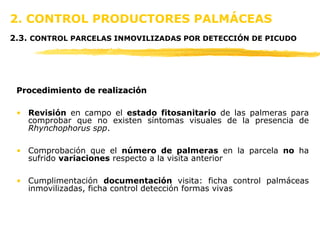 2. CONTROL PRODUCTORES PALMÁCEAS   2.3.  CONTROL PARCELAS INMOVILIZADAS POR DETECCIÓN DE PICUDO Procedimiento de realización Revisión  en campo el  estado fitosanitario  de las palmeras   para comprobar que no existen síntomas visuales de la presencia de  Rhynchophorus spp .  Comprobación que el  número de palmeras  en la parcela  no  ha sufrido  variaciones  respecto a la visita anterior Cumplimentación  documentación  visita: ficha control palmáceas inmovilizadas, ficha control detección formas vivas 