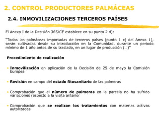 2. CONTROL PRODUCTORES PALMÁCEAS 2.4. INMOVILIZACIONES TERCEROS PAÍSES El Anexo I de la Decisión 365/CE establece en su punto 2 d): “ Todas las palmáceas importadas de terceros países (punto 1 c) del Anexo 1), serán cultivadas desde su introducción en la Comunidad, durante un periodo mínimo de 1 año antes de su traslado, en un lugar de producción (…)” Procedimiento de realización Inmovilización  en aplicación de la Decisión de 25 de mayo la Comisión Europea Revisión  en campo del  estado fitosanitario  de las palmeras Comprobación que el  número de palmeras  en la parcela no ha sufrido variaciones respecto a la visita anterior Comprobación que  se realizan los tratamientos  con materias activas autorizadas 