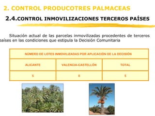 2. CONTROL PRODUCOTRES PALMACEAS 2.4. CONTROL INMOVILIZACIONES TERCEROS PAÍSES Situación actual de las parcelas inmovilizadas procedentes de terceros países en las condiciones que estipula la Decisión Comunitaria 5 0 5 TOTAL VALENCIA-CASTELLÓN ALICANTE NÚMERO DE LOTES INMOVILIZADAS POR APLICACIÓN DE LA DECISIÓN  