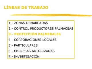 LÍNEAS DE TRABAJO 1.- ZONAS DEMARCADAS 2.- CONTROL PRODUCTORES PALMÁCEAS 3.- PROTECCIÓN PALMERALES 4.- CORPORACIONES LOCALES 5.- PARTICULARES 6.- EMPRESAS AUTORIZADAS 7.- INVESTIGACIÓN 