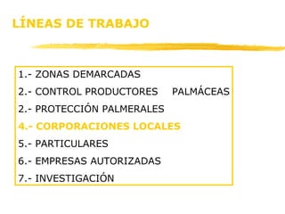 LÍNEAS DE TRABAJO 1.- ZONAS DEMARCADAS 2.- CONTROL PRODUCTORES PALMÁCEAS 2.- PROTECCIÓN PALMERALES 4.- CORPORACIONES LOCALES 5.- PARTICULARES 6.- EMPRESAS AUTORIZADAS 7.- INVESTIGACIÓN 