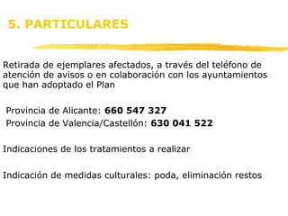 5. PARTICULARES Retirada de ejemplares afectados, a través del teléfono de atención de avisos o en colaboración con los ayuntamientos que han adoptado el Plan Provincia de Alicante:  660 547 327 Provincia de Valencia/Castellón:  630 041 522   Indicaciones de los tratamientos a realizar Indicación de medidas culturales: poda, eliminación restos 