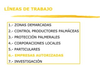 LÍNEAS DE TRABAJO 1.- ZONAS DEMARCADAS 2.- CONTROL PRODUCTORES PALMÁCEAS 3.- PROTECCIÓN PALMERALES 4.- CORPORACIONES LOCALES 5.- PARTICULARES 6.- EMPRESAS AUTORIZADAS 7.- INVESTIGACIÓN 