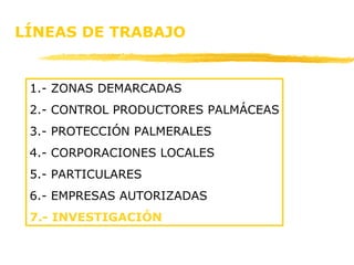 LÍNEAS DE TRABAJO 1.- ZONAS DEMARCADAS 2.- CONTROL PRODUCTORES PALMÁCEAS 3.- PROTECCIÓN PALMERALES 4.- CORPORACIONES LOCALES 5.- PARTICULARES 6.- EMPRESAS AUTORIZADAS 7.- INVESTIGACIÓN 