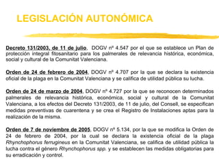 Decreto 131/2003, de 11 de julio ,  DOGV nº 4.547 por el que se establece un Plan de protección integral fitosanitario para los palmerales de relevancia histórica, económica, social y cultural de la Comunitat Valenciana. Orden de 24 de febrero de 2004 , DOGV nº 4.707 por la que se declara la existencia oficial de la plaga en la Comunitat Valenciana y se califica de utilidad pública su lucha. Orden de 24 de marzo de 2004 , DOGV nº 4.727 por la que se reconocen determinados palmerales de relevancia histórica, económica, social y cultural de la Comunitat Valenciana, a los efectos del Decreto 131/2003, de 11 de julio, del Consell, se especifican medidas preventivas de cuarentena y se crea el Registro de Instalaciones aptas para la realización de la misma. Orden de 7 de noviembre de 2005 , DOGV nº 5.134, por la que se modifica la Orden de 24 de febrero de 2004, por la cual se declara la existencia oficial de la plaga  Rhynchophorus ferrugineus  en la Comunitat Valenciana, se califica de utilidad pública la lucha contra el género  Rhynchophorus spp.  y se establecen las medidas obligatorias para su erradicación y control.  LEGISLACIÓN AUTONÓMICA 
