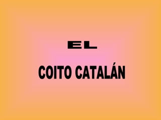 COITO CATALÁN EL 
