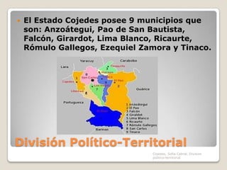 División Político-TerritorialEl Estado Cojedes posee 9 municipios que son: Anzoátegui, Pao de San Bautista, Falcón, Girardot, Lima Blanco, Ricaurte, Rómulo Gallegos, Ezequiel Zamora y Tinaco.Cojedes, Sofia Cabral, Division politico-territorial