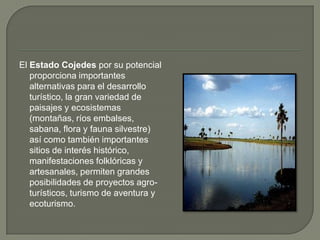 El Estado Cojedes por su potencial
   proporciona importantes
   alternativas para el desarrollo
   turístico, la gran variedad de
   paisajes y ecosistemas
   (montañas, ríos embalses,
   sabana, flora y fauna silvestre)
   así como también importantes
   sitios de interés histórico,
   manifestaciones folklóricas y
   artesanales, permiten grandes
   posibilidades de proyectos agro-
   turísticos, turismo de aventura y
   ecoturismo.
 
