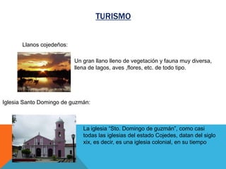 TURISMO

Llanos cojedeños:
Un gran llano lleno de vegetación y fauna muy diversa,
llena de lagos, aves ,flores, etc. de todo tipo.

Iglesia Santo Domingo de guzmán:

La iglesia “Sto. Domingo de guzmán”, como casi
todas las iglesias del estado Cojedes, datan del siglo
xix, es decir, es una iglesia colonial, en su tiempo

 