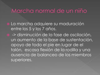  La marcha adquiere su maduración
  entre los 5 y los 7 años.
 -> disminución de la fase de oscilación,
  un aumento de la base de sustentación,
  apoyo de todo el pie en lugar de el
  talón, escasa flexión de la rodilla y una
  ausencia de balanceo de los miembros
  superiores.
 