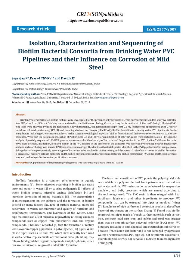 Biofilm Formation in PVC Pipes Causes Corrosion PDF
