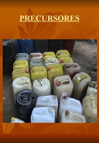 PRECURSORES
 