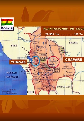PLANTACIONES DE COCA

         28.500 Ha. . . . . . . . . 100 Tn.




                          CHAPARE
YUNGAS
 