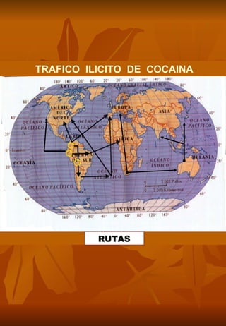 TRAFICO ILICITO DE COCAINA




          RUTAS
 
