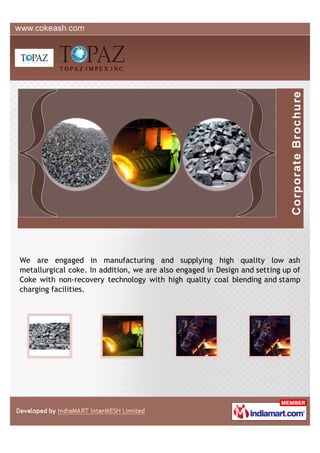 We are engaged in manufacturing and supplying high quality low ash
metallurgical coke. In addition, we are also engaged in Design and setting up of
Coke with non-recovery technology with high quality coal blending and stamp
charging facilities.
 