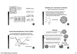 Prof. Rafael Mulas Fernández 14
53
QuQuíímicamica
I.ForestalM.N./I.AgrícolaM.R.
54
QuQuíímicamica
I.ForestalM.N./I.AgrícolaM.R.
Coloides por asociación (micelas)
A baja concentración (50-200 M) producen una
marcada disminución de la tensión superficial
A mayor concentración (1-5 mM) forman en la
solución estructuras relativamente estables, llamadas
micelas que tienen tamaño coloidal
Agentes Tensioactivos o Surfactantes
-
-
-
-
-
-
-
-
-
-
- - -
55
QuQuíímicamica
I.ForestalM.N./I.AgrícolaM.R.
Es la concentración del tensioactivo en la que las
moléculas individuales se agregan para formar micelas
Concentración Micelar Crítica (CMC)

Turbidez

Concentración
CMC
Propiedad

56
QuQuíímicamica
I.ForestalM.N./I.AgrícolaM.R.
La formación de micelas por los detergentes posibilita el
secuestro de moléculas grasas en el interior de la micela
Las micelas permiten un pequeño medio interior
hidrofóbico en un medio acuoso.
ácidos grasos
sales biliares
triglicéridos
A B
fosfolípidos
colesterol
triglicéridos
apoproteínas
Algunas drogas, que son moléculas anfipáticas
relativamente grandes, están en su forma
farmacéutica como micelas (microemulsiones)
Las micelas digestivas (A) y las lipoproteínas (B)
son componentes fisiológicos de tipo micelar
Micelas
 