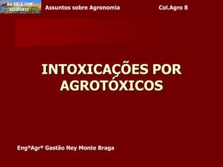 INTOXICAÇÕES POR AGROTÓXICOS EngºAgrº Gastão Ney Monte Braga 