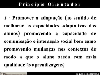[email_address] Principio Orientador 1 - Promover a adaptação (no sentido de melhorar as capacidades adaptativas dos alunos) promovendo a capacidade de comunicação e interacção social bem como promovendo mudanças nos contextos de modo a que o aluno aceda com mais qualidade às aprendizagens; 