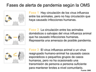 Fases de alerta de pandemia según la OMSFase 1Hay circulación de los virus influenza entre los animales, pero no hay circulación que haya causado infecciones humanas.Fase 2La circulación entre los animales domésticos o salvajes del virus influenza animal que ha causado infecciones humanas. Representa una amenaza de posible pandemia.Fase 3El virus influenza animal o un virus reagrupado humano-animal ha causado casos esporádicos o pequeños grupos de casos humanos, pero no ha ocasionado una transmisión de persona a persona suficiente para mantener brotes a nivel comunitario.Fuente: OMS