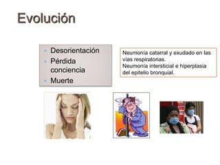 Frecuencia Respiratoria  elevada