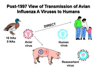 DIRECTPost-1997 View of Transmission of Avian Influenza A Viruses to Humans16 HAs9 NAsAviarvirusHuman virusReassortantvirus