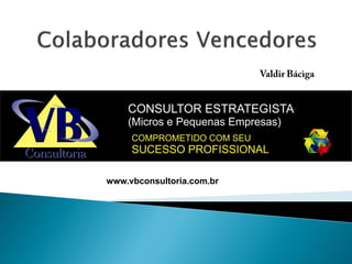 www.vbconsultoria.com.br
 
